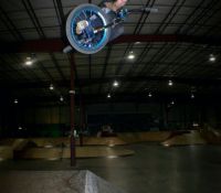ollies tbog